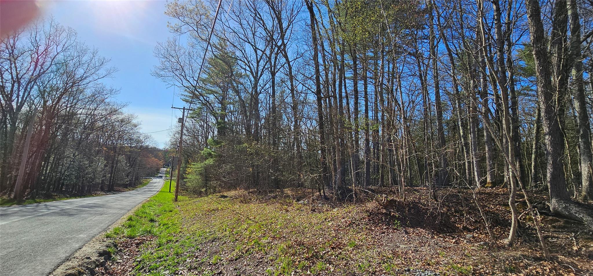 Lot 85 Perry Pond Road, Narrowsburg, New York image 16