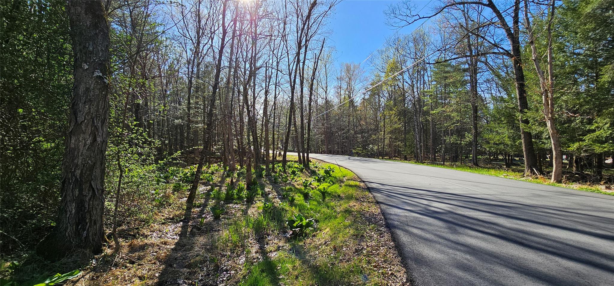 Lot 85 Perry Pond Road, Narrowsburg, New York image 22
