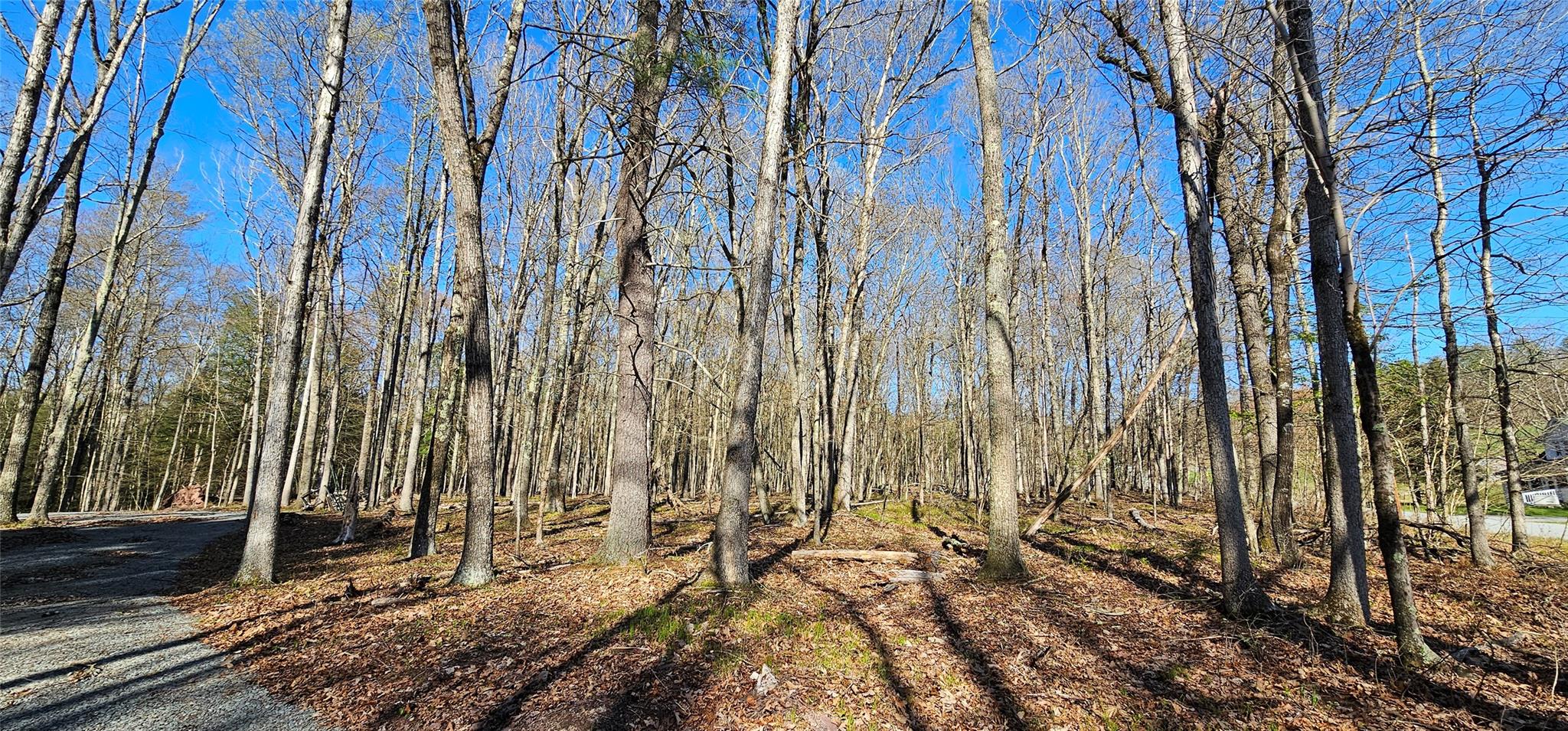 Lot 85 Perry Pond Road, Narrowsburg, New York image 4