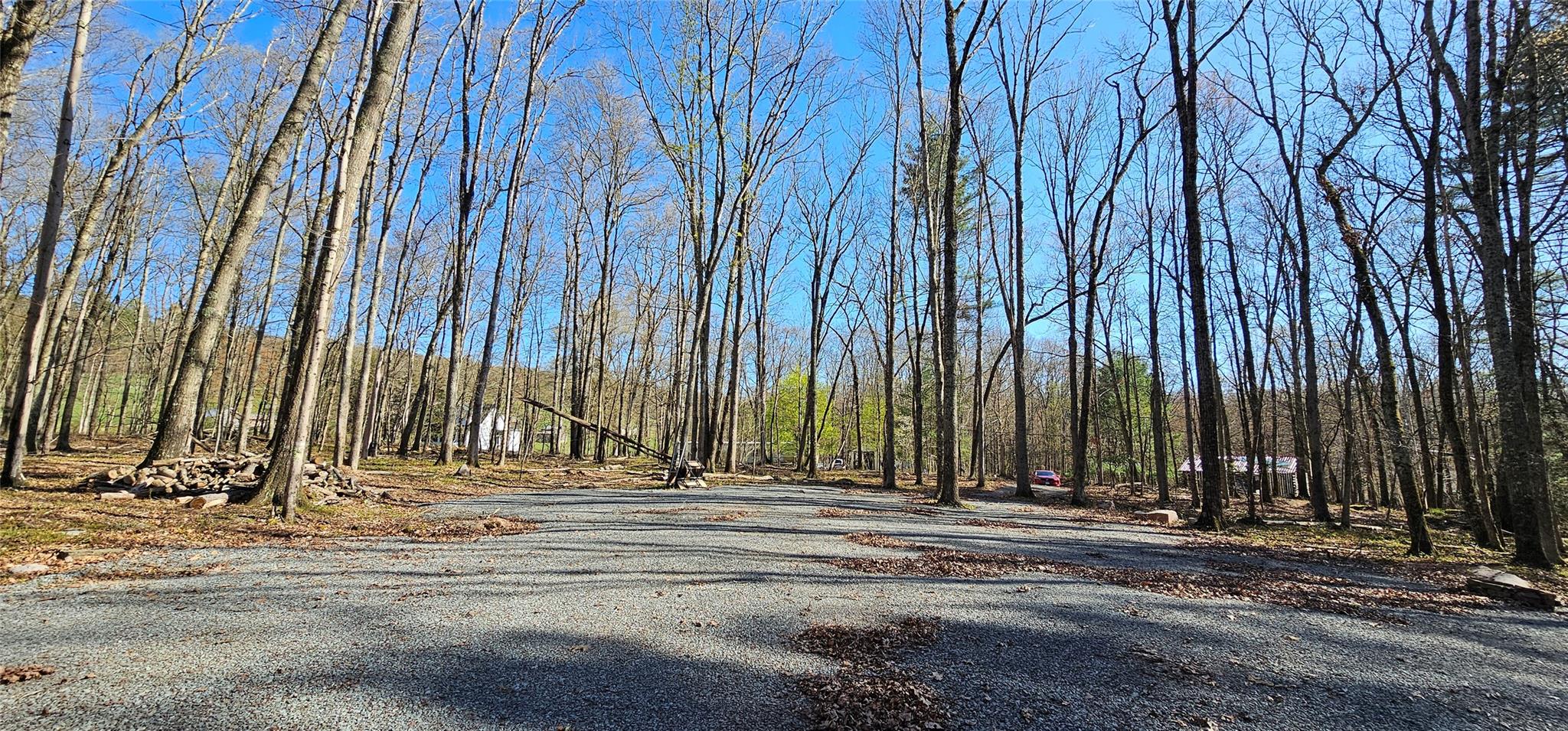 Lot 85 Perry Pond Road, Narrowsburg, New York image 12
