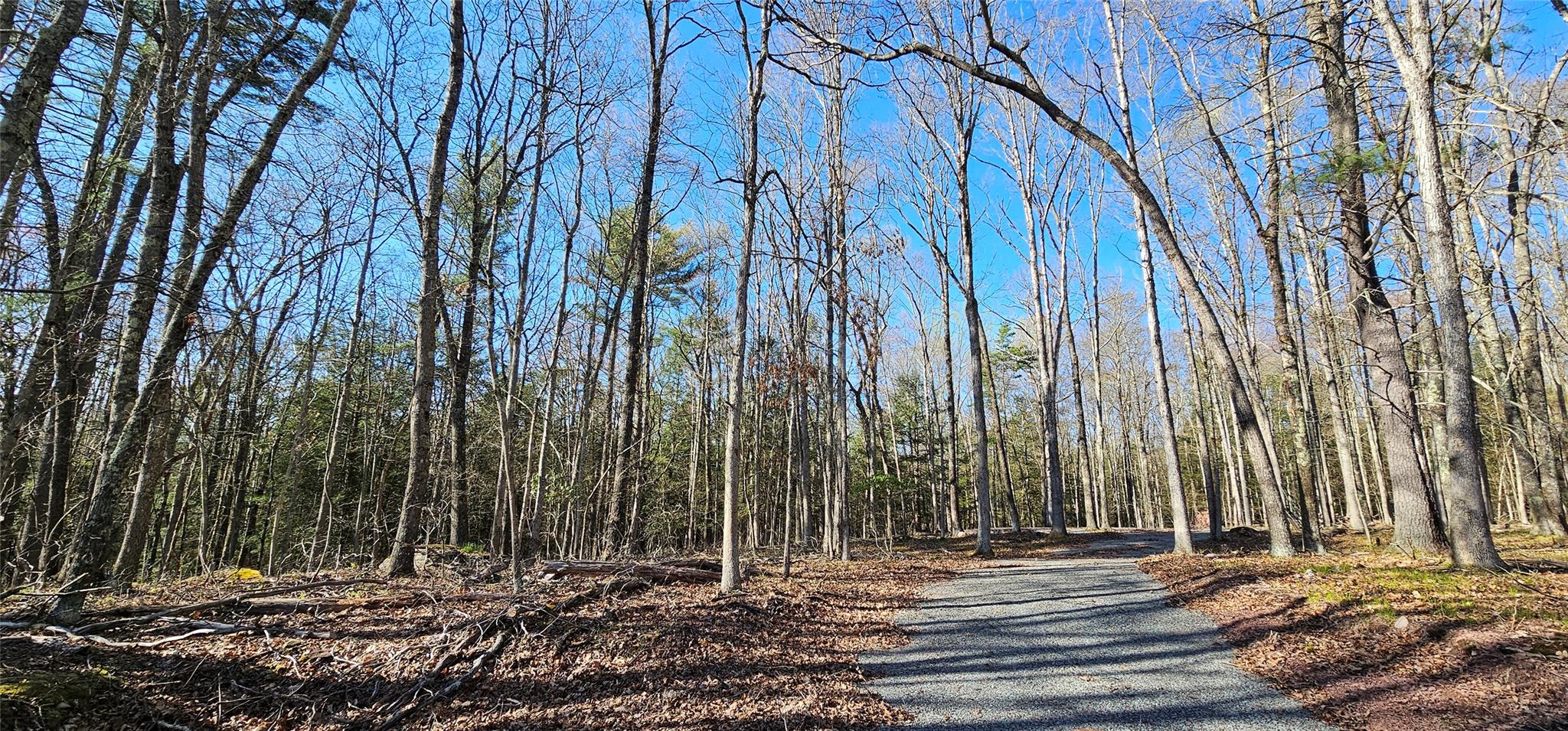 Lot 85 Perry Pond Road, Narrowsburg, New York image 3
