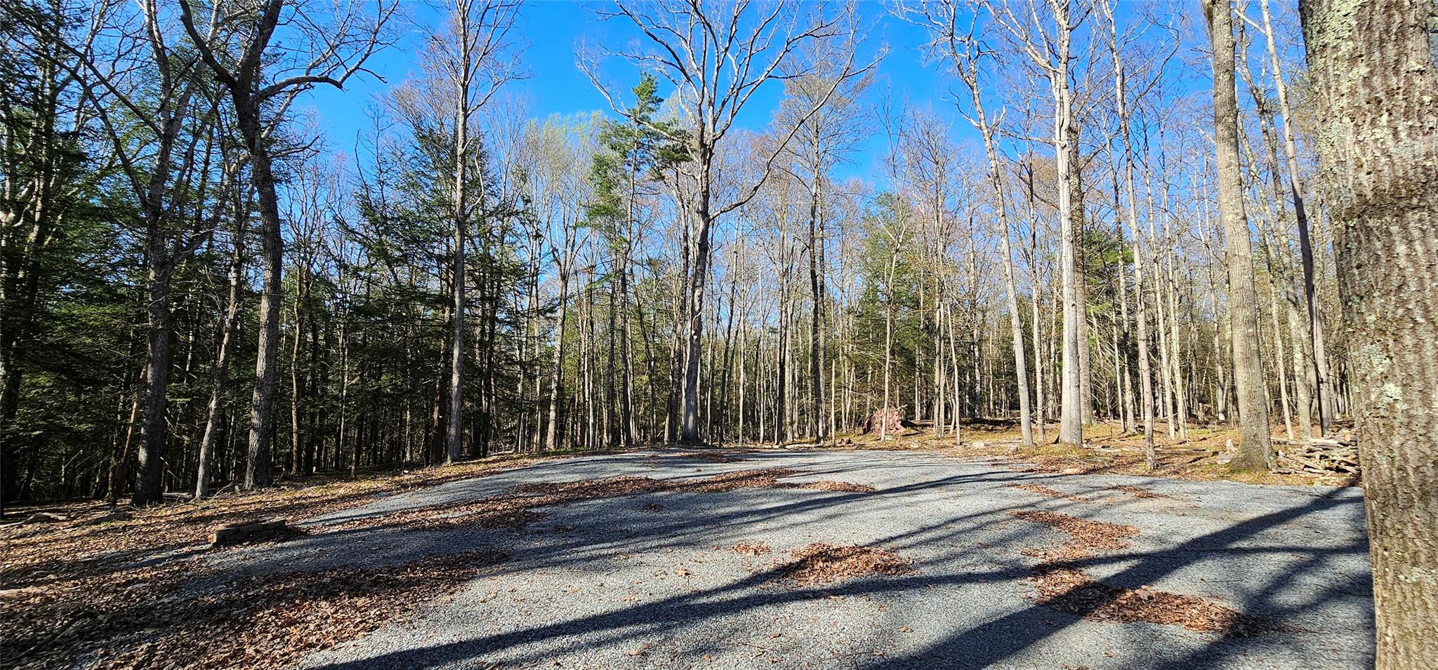 Lot 85 Perry Pond Road, Narrowsburg, New York image 15