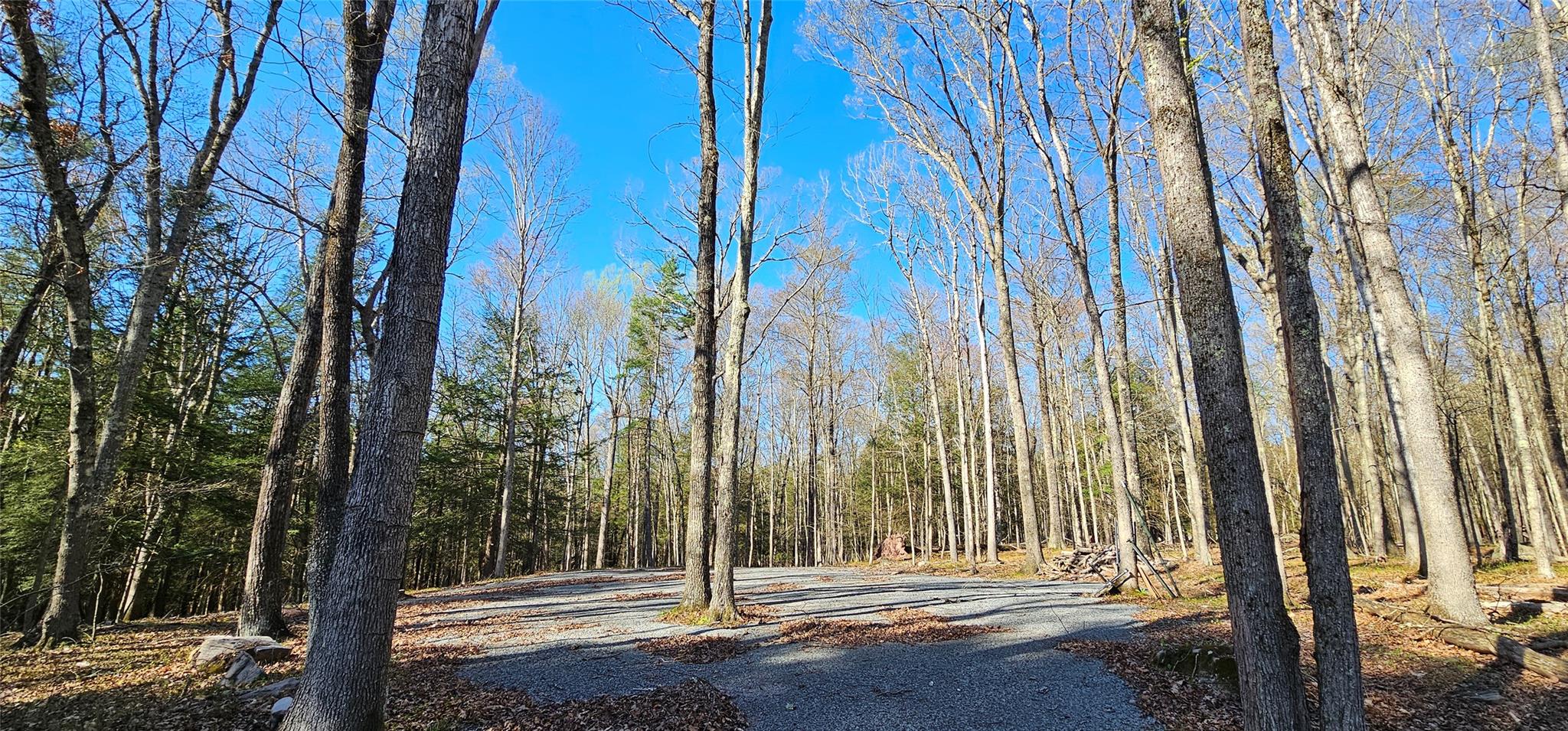 Lot 85 Perry Pond Road, Narrowsburg, New York image 5