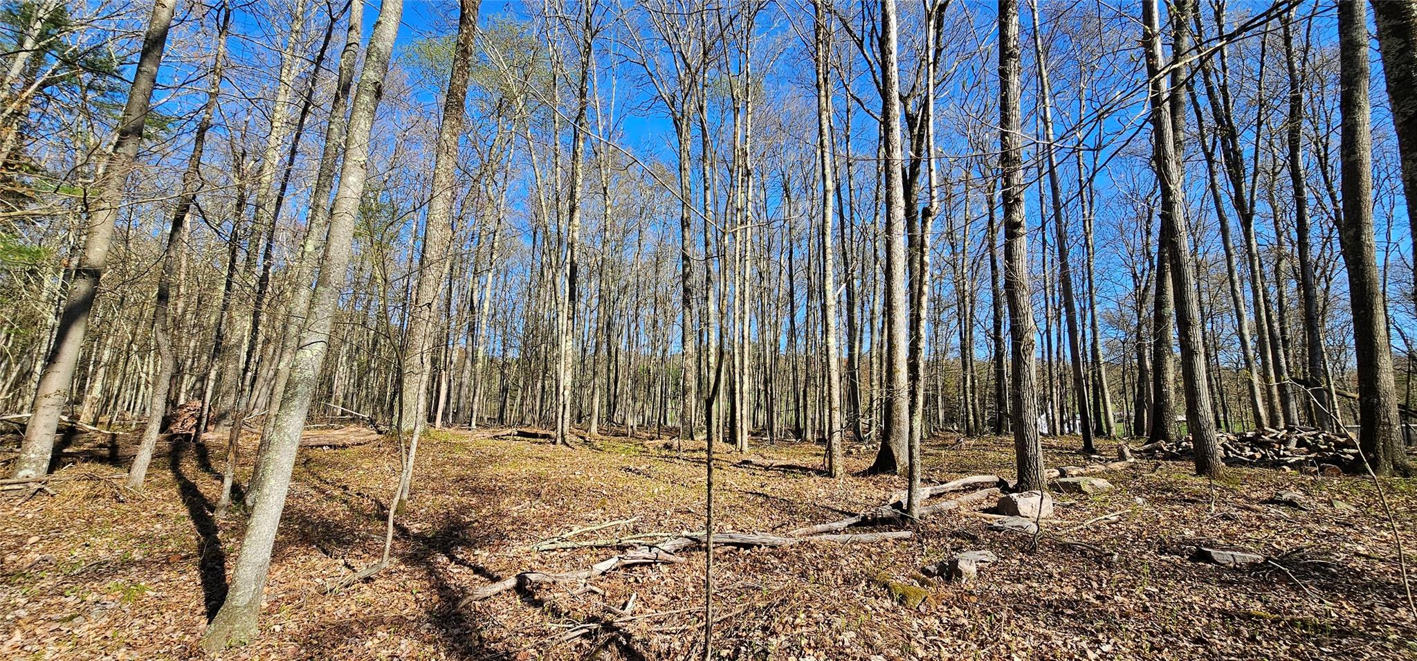 Lot 85 Perry Pond Road, Narrowsburg, New York image 14