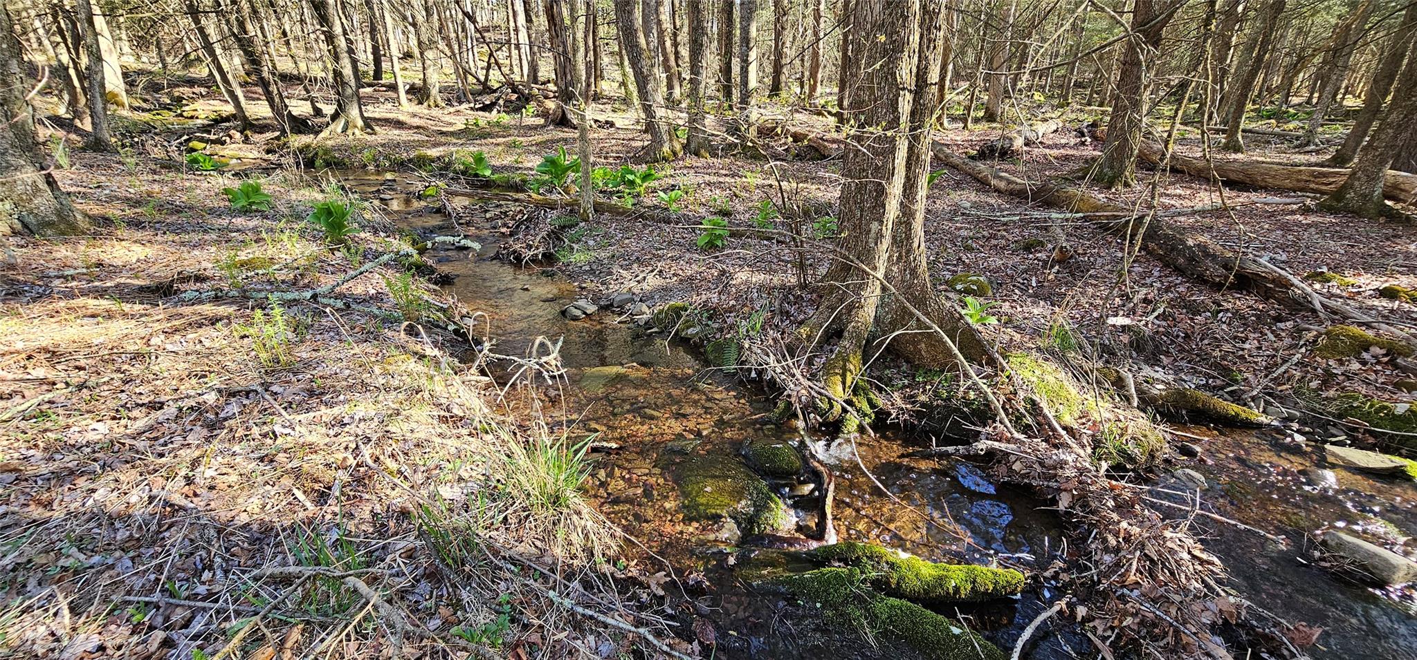 Lot 85 Perry Pond Road, Narrowsburg, New York image 2