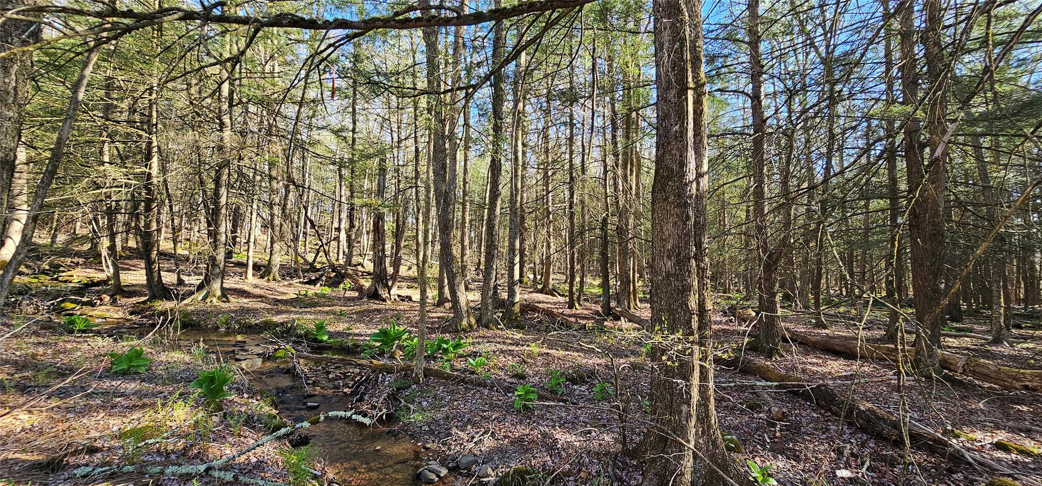 Lot 85 Perry Pond Road, Narrowsburg, New York image 18