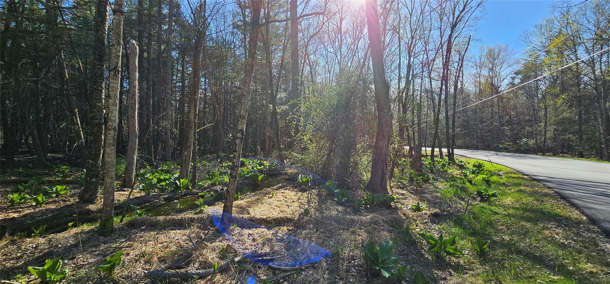 Lot 85 Perry Pond Road, Narrowsburg, New York image 20