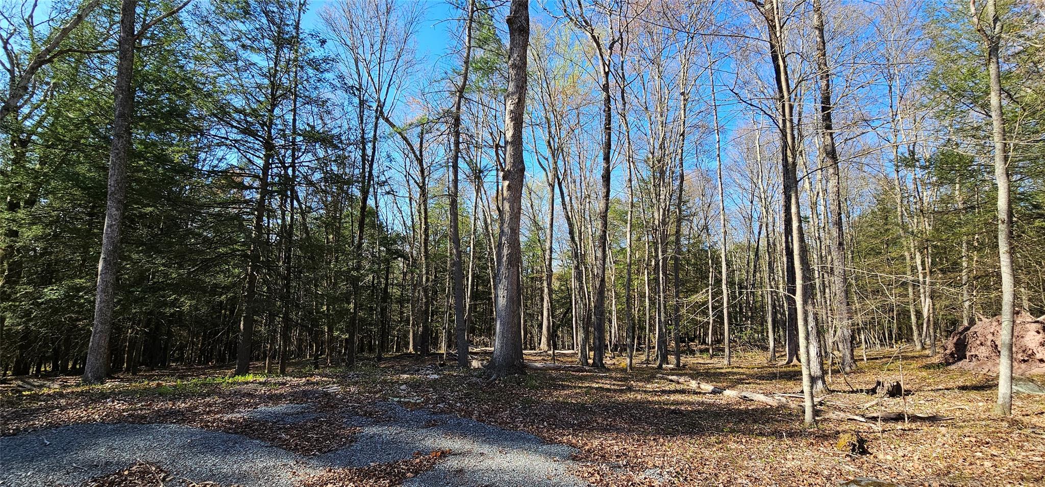 Lot 85 Perry Pond Road, Narrowsburg, New York image 9