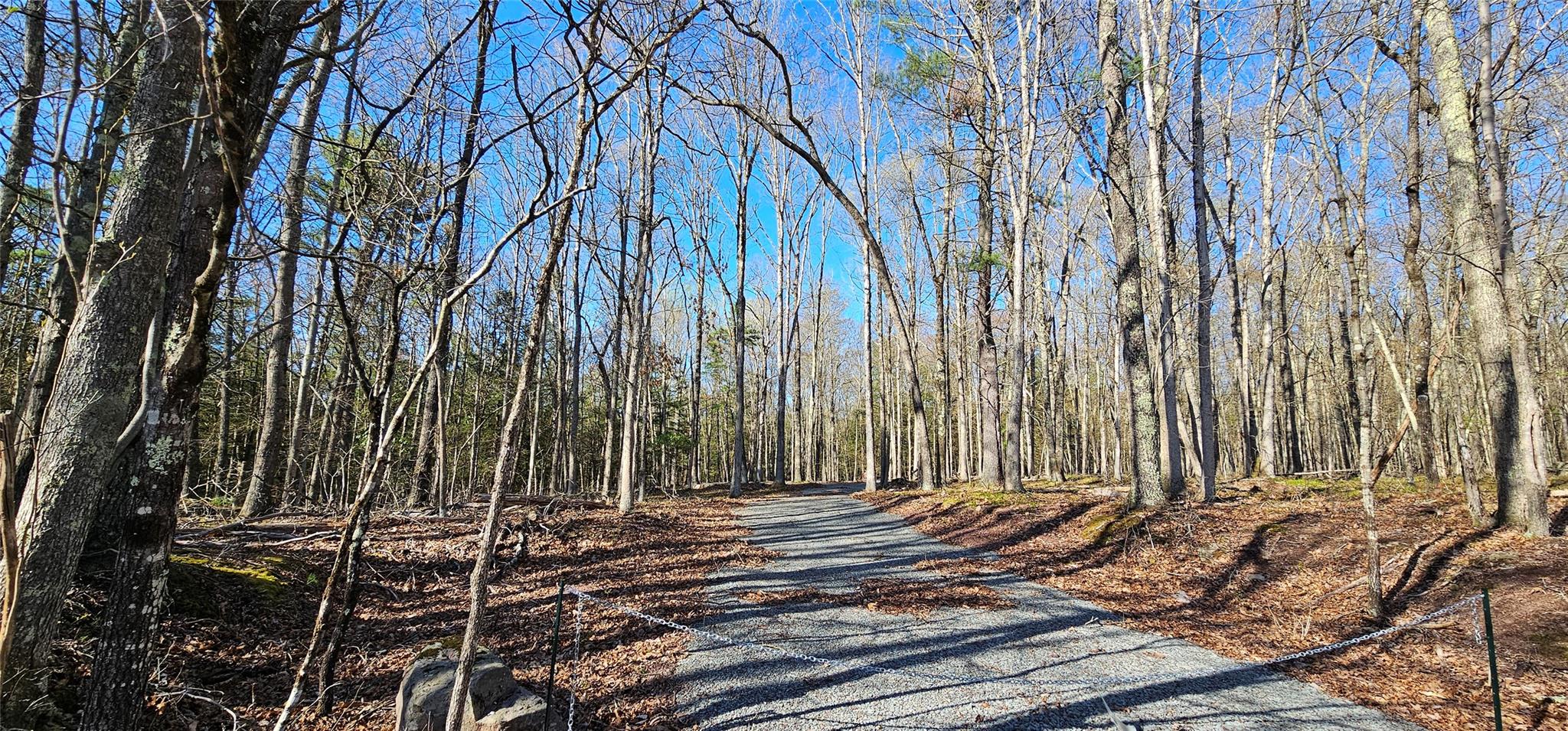 Lot 85 Perry Pond Road, Narrowsburg, New York image 1
