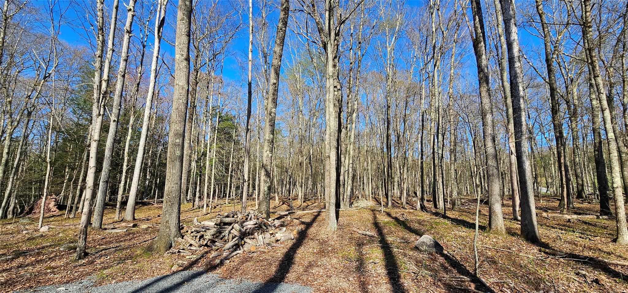 Lot 85 Perry Pond Road, Narrowsburg, New York image 8