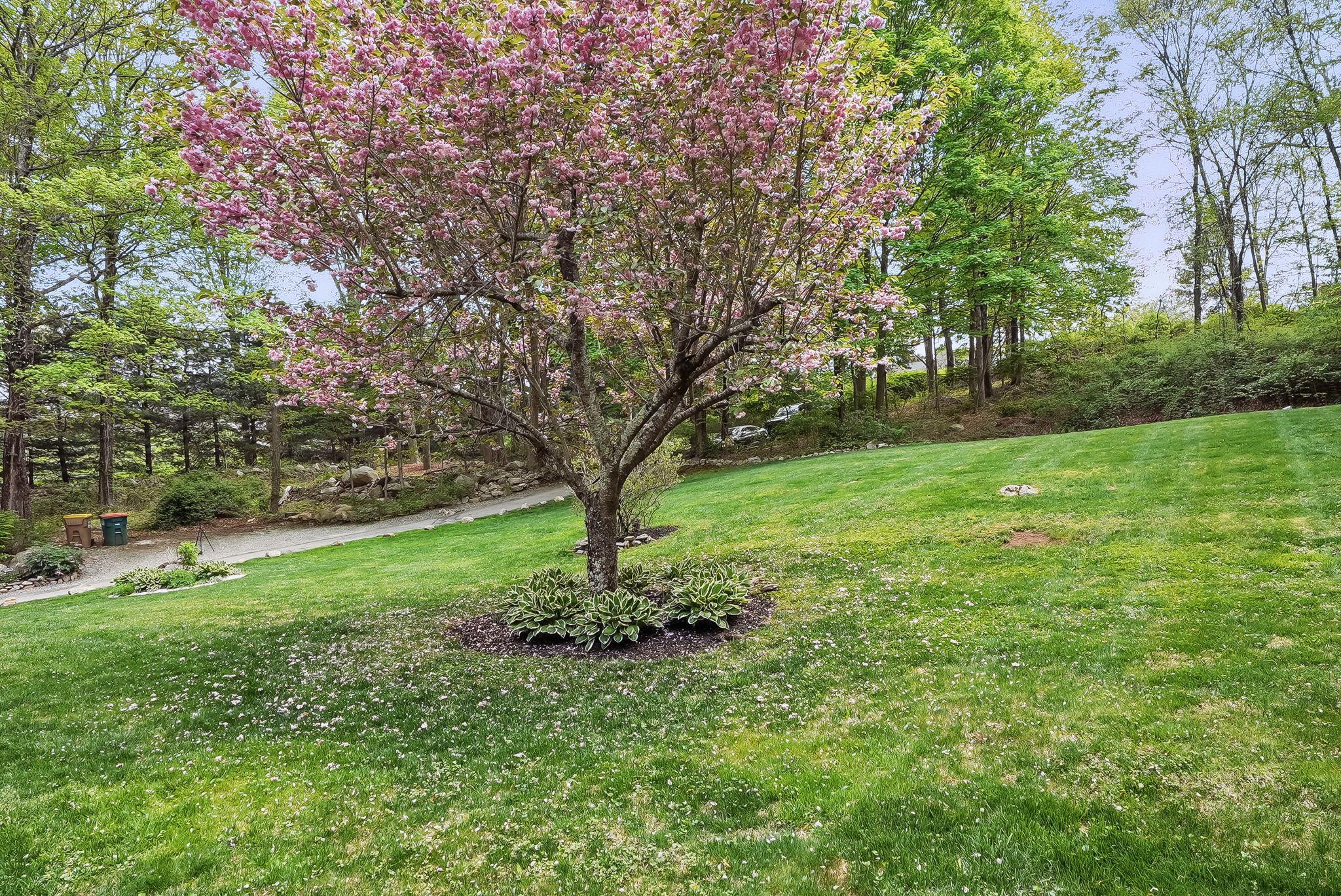 304 Church Road, Putnam Valley, New York image 37