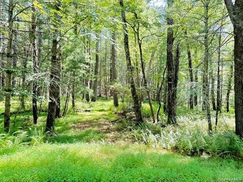 Vacant Land For Sale - LOT 3.18 Fish Cabin Road<br/> Sullivan County, Glen Spey, NY 12737