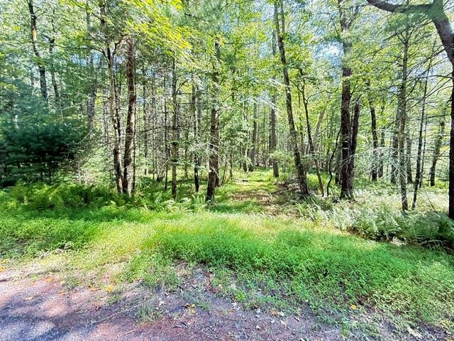 Lot 3.18 Fish Cabin Road