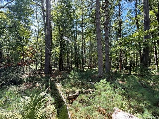 Lot 3.18 Fish Cabin Road