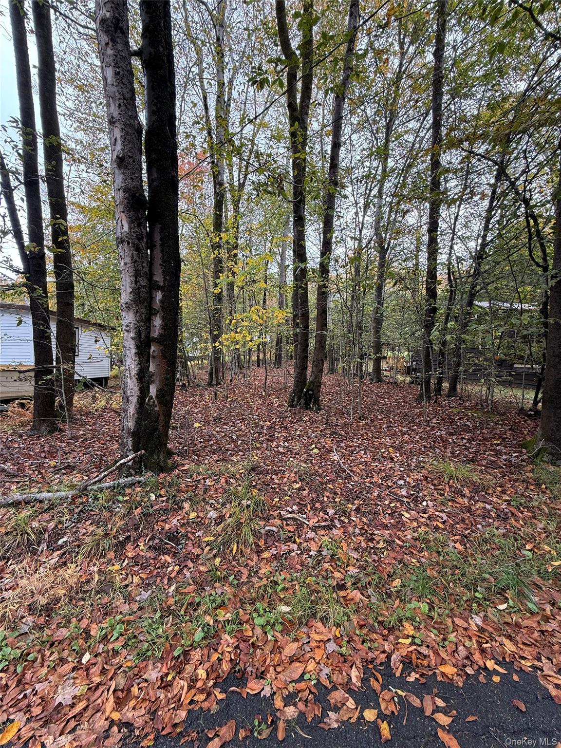 6 W Oakland Drive