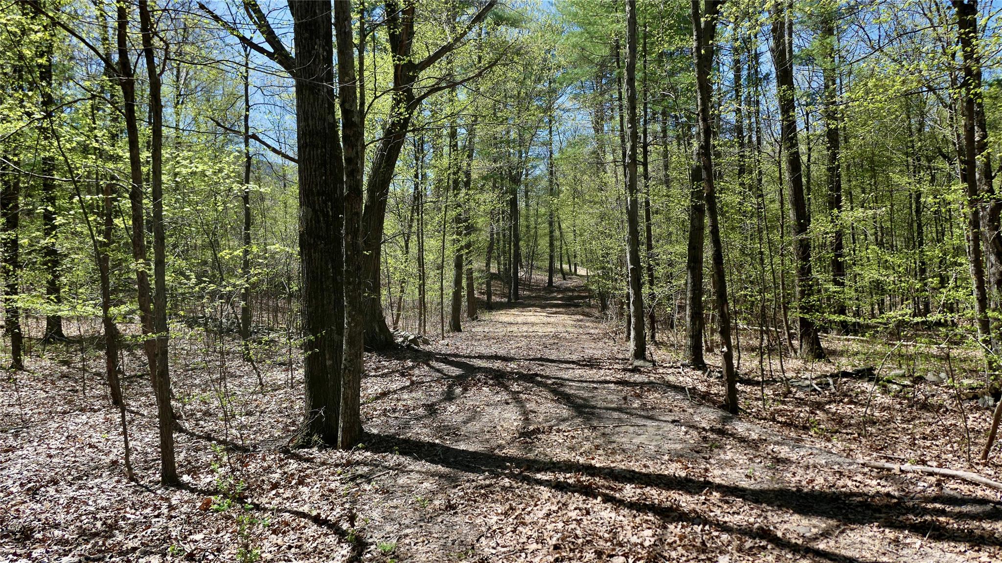 56 Sleepy Dutchman Lane, Cairo, New York image 7