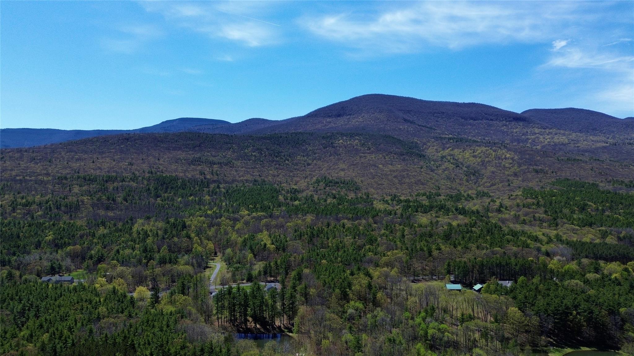 56 Sleepy Dutchman Lane, Cairo, New York image 15