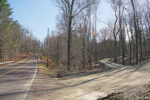 Vacant Land For Sale - 765 Academy Hill Road<br/> Red Hook, NY 12571