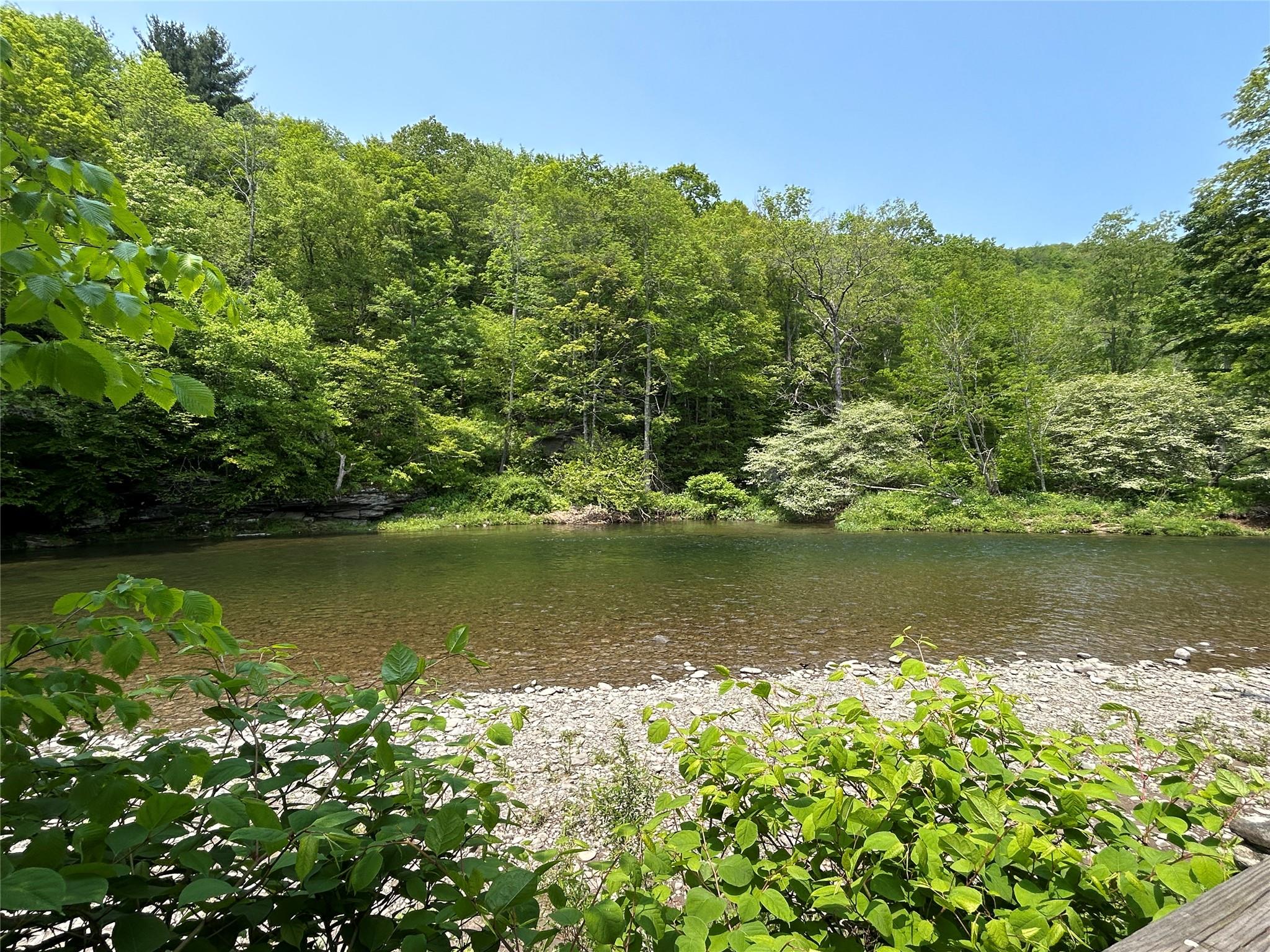 821 Berry Brook Road, Roscoe, New York image 19