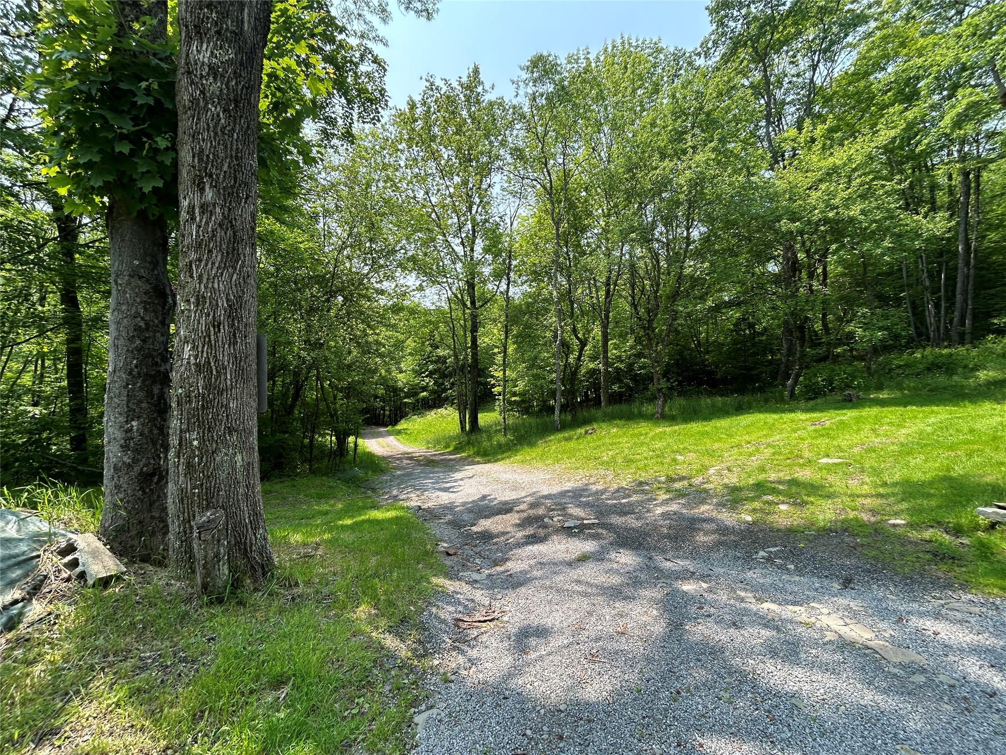 821 Berry Brook Road, Roscoe, New York image 1