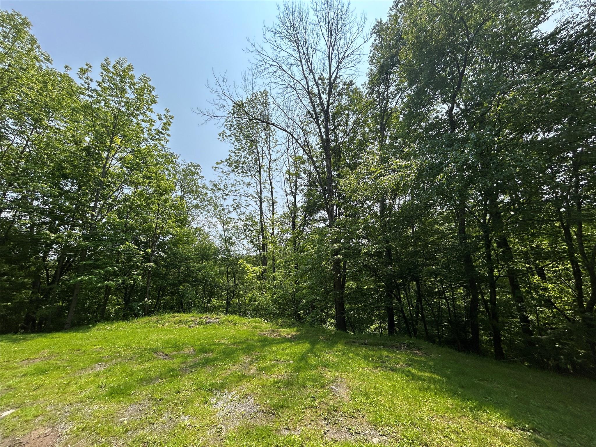 821 Berry Brook Road, Roscoe, New York image 4