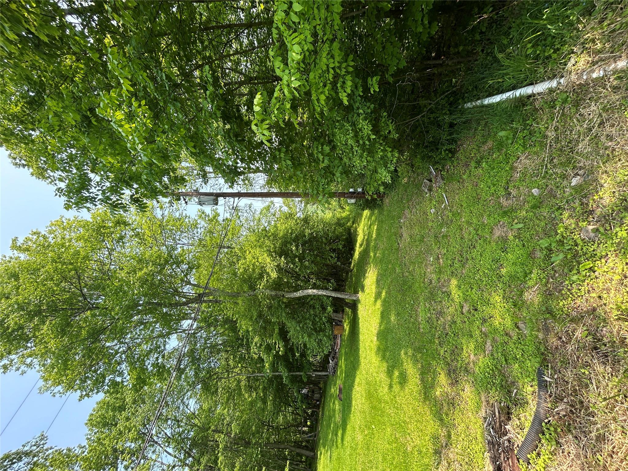 821 Berry Brook Road, Roscoe, New York image 10