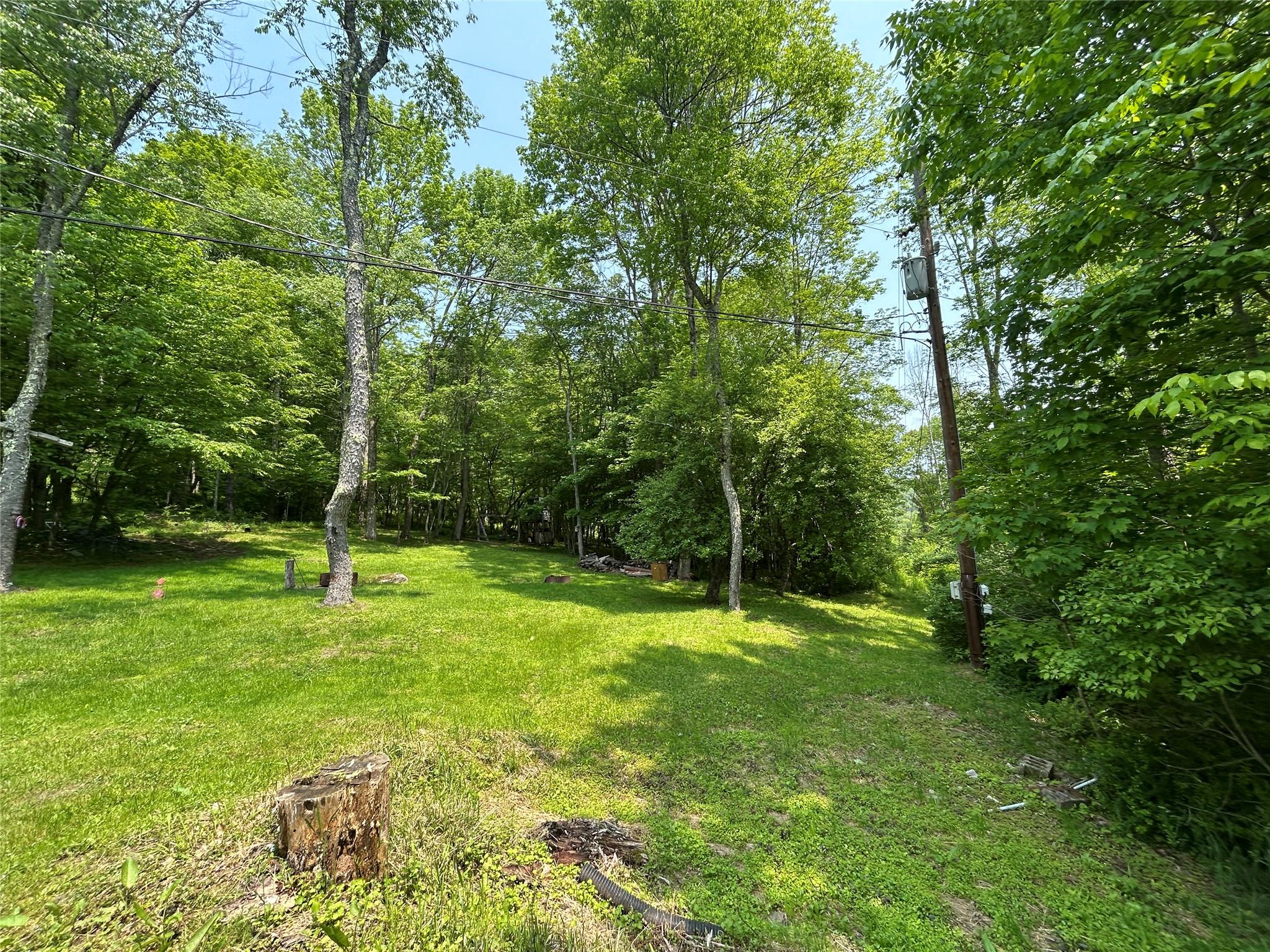 821 Berry Brook Road, Roscoe, New York image 7