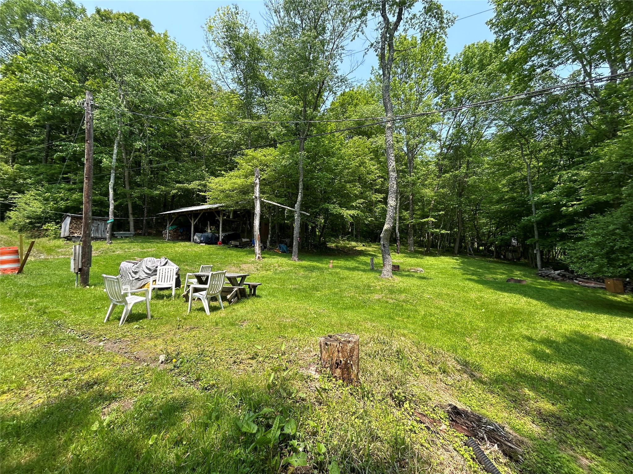 821 Berry Brook Road, Roscoe, New York image 9