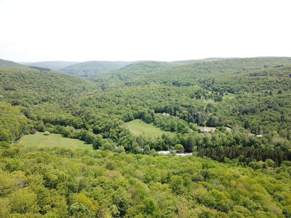 821 Berry Brook Road, Roscoe, New York image 15