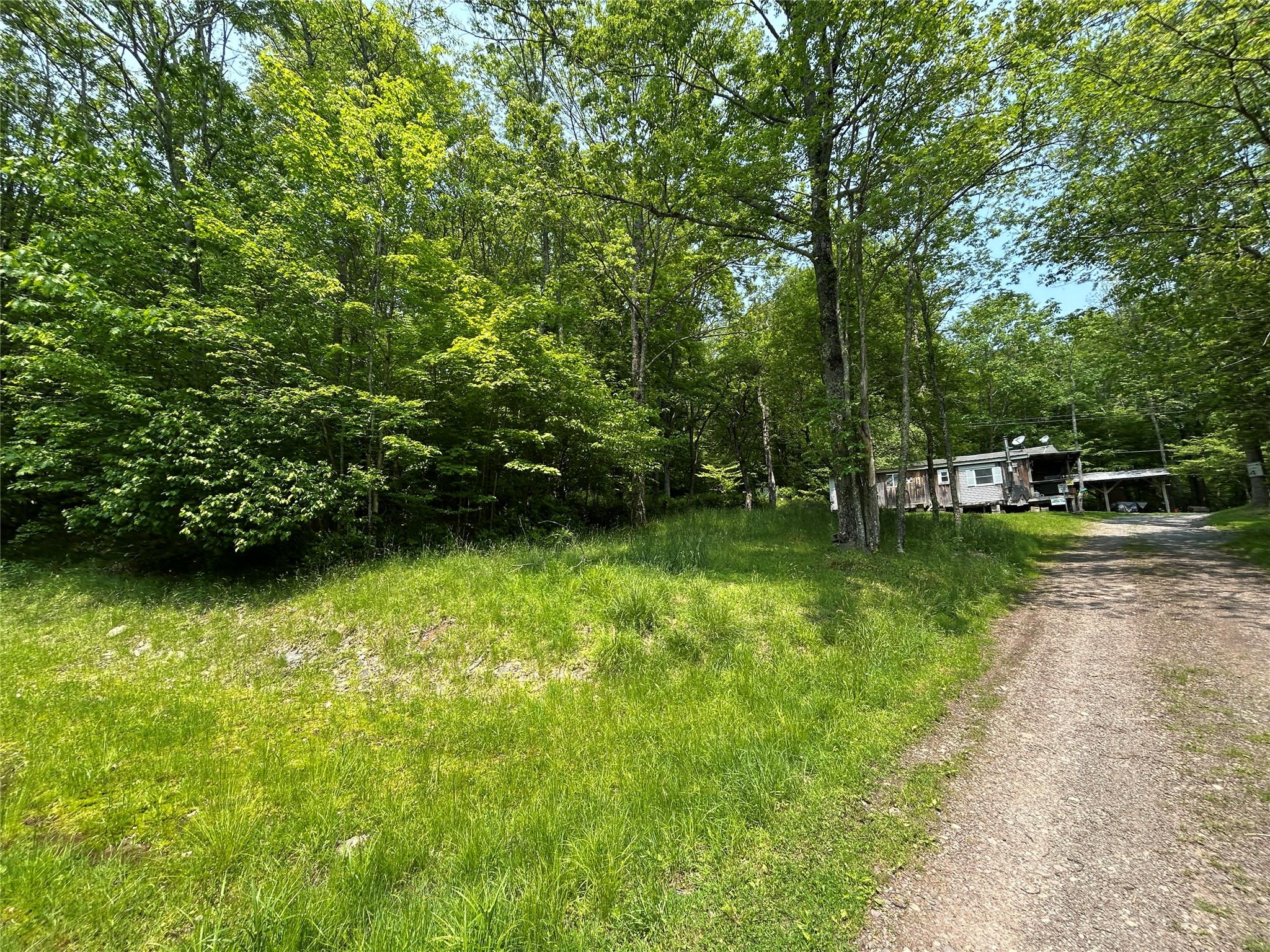 821 Berry Brook Road, Roscoe, New York image 12