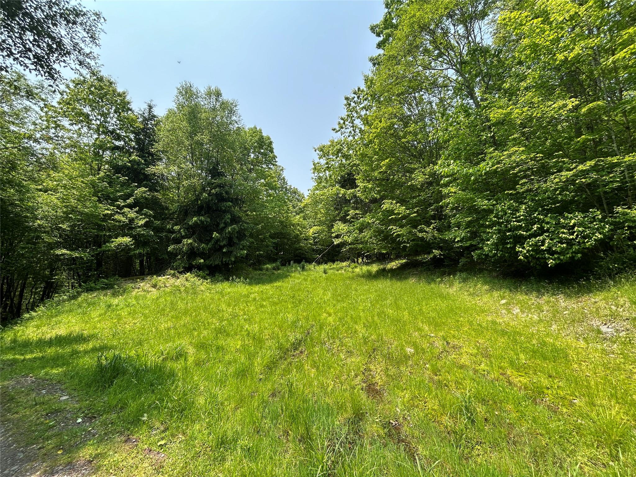 821 Berry Brook Road, Roscoe, New York image 11