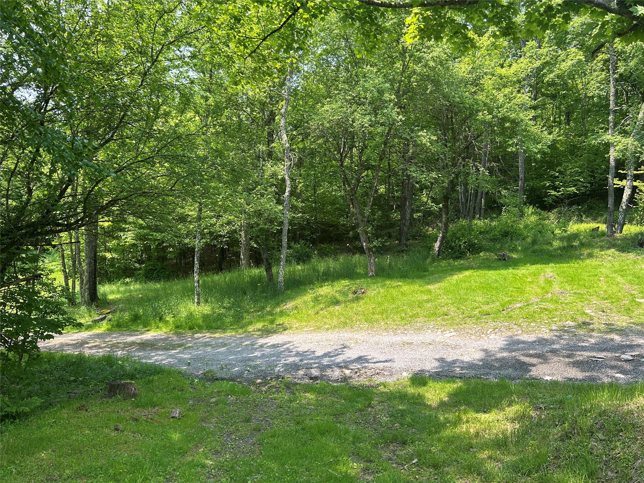 821 Berry Brook Road, Roscoe, New York image 5