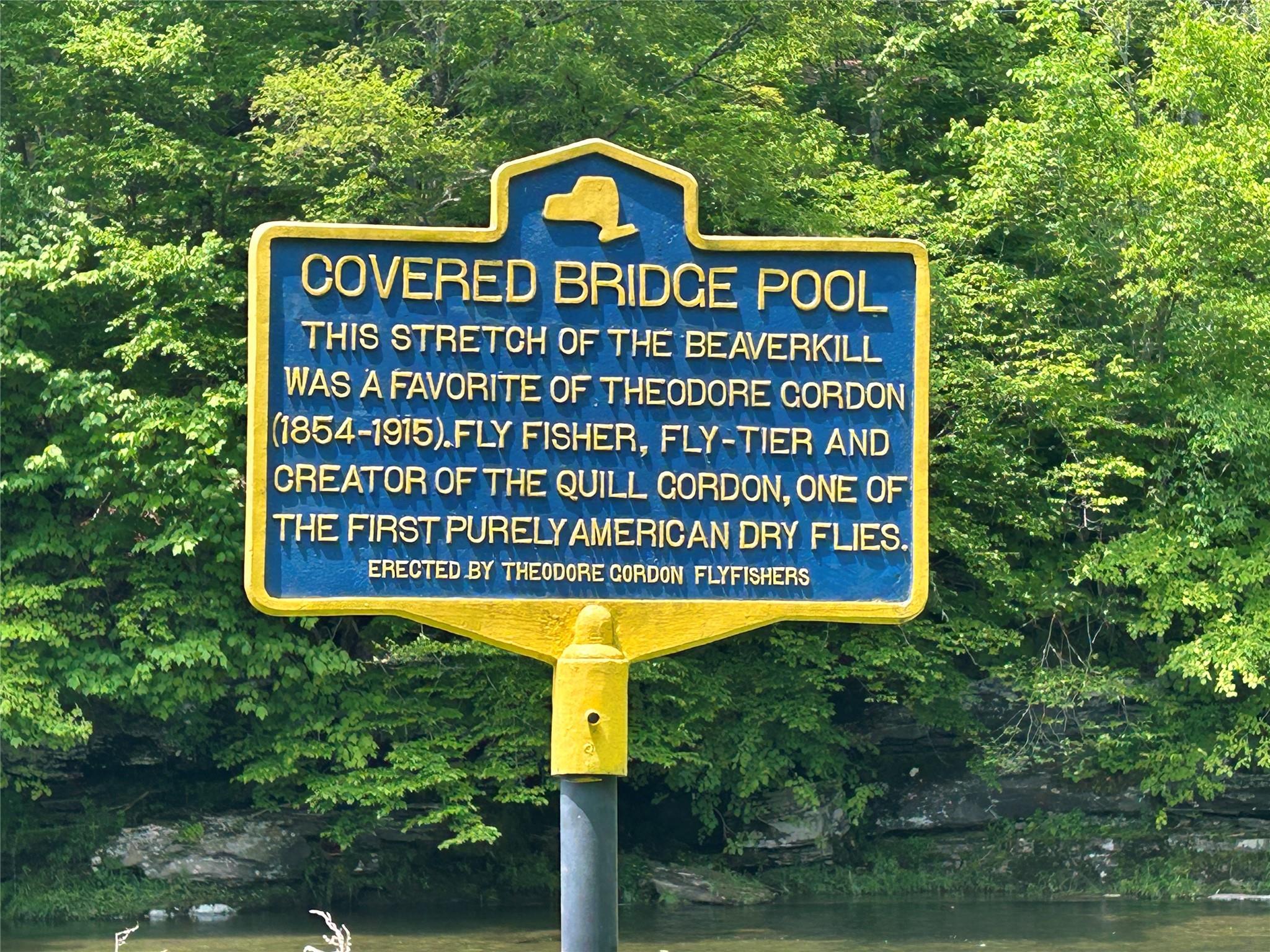 821 Berry Brook Road, Roscoe, New York image 20