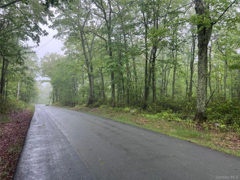 Vacant Land For Sale - Budd Road<br/> Wurtsboro, NY 12790