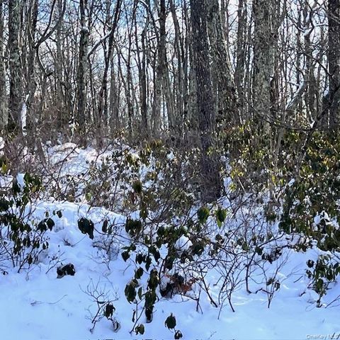 Budd Road Wurtsboro NY 12790