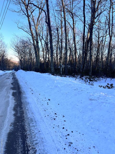 Vacant Land For Sale - Budd Road<br/> Sullivan County, Wurtsboro, NY 12790