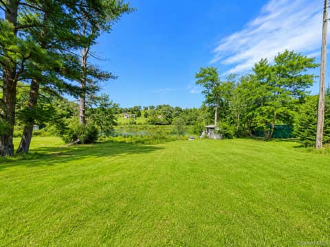 Vacant Land For Sale - 601 Briscoe Road<br/> Sullivan County, Swan Lake, NY 12783