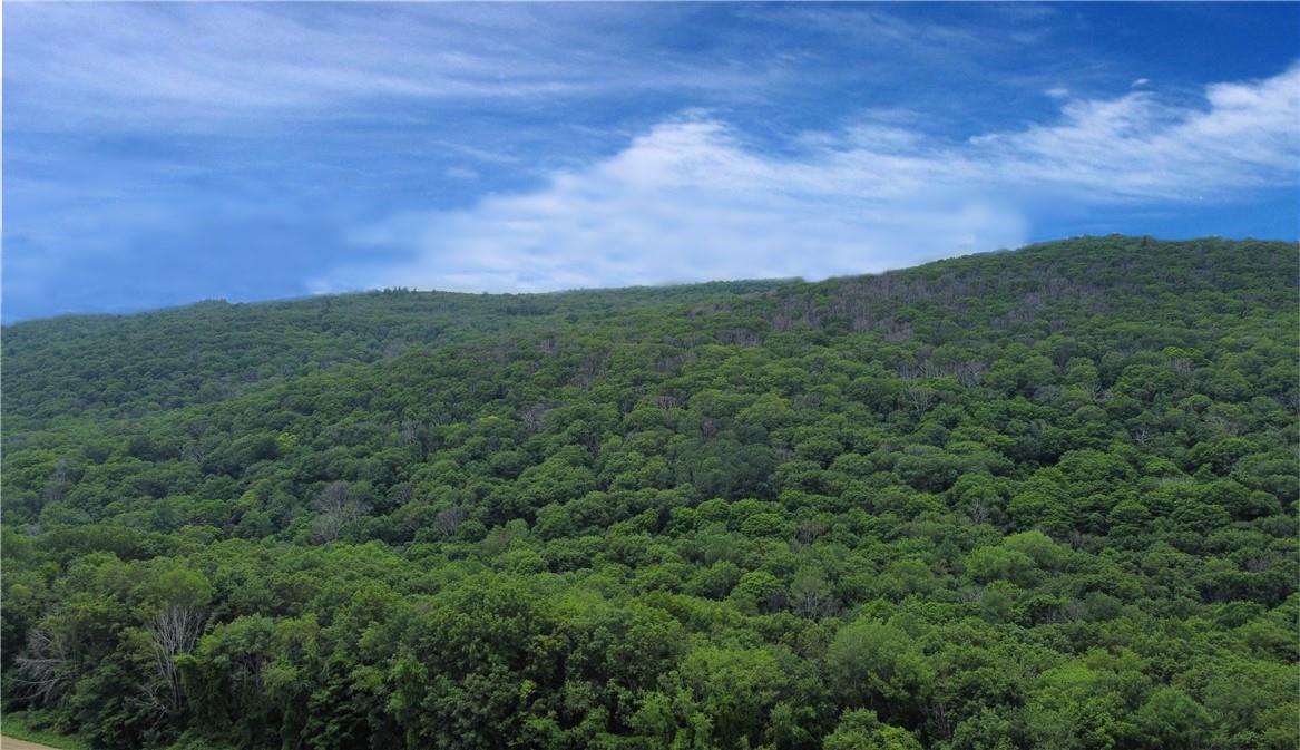 Cascade Mountain Road, Amenia, New York image 2