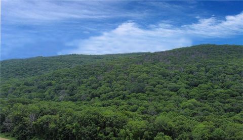 Vacant Land For Sale - Cascade Mountain Road<br/> Amenia, NY 12501