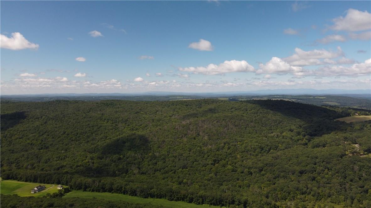 Cascade Mountain Road, Amenia, New York image 14