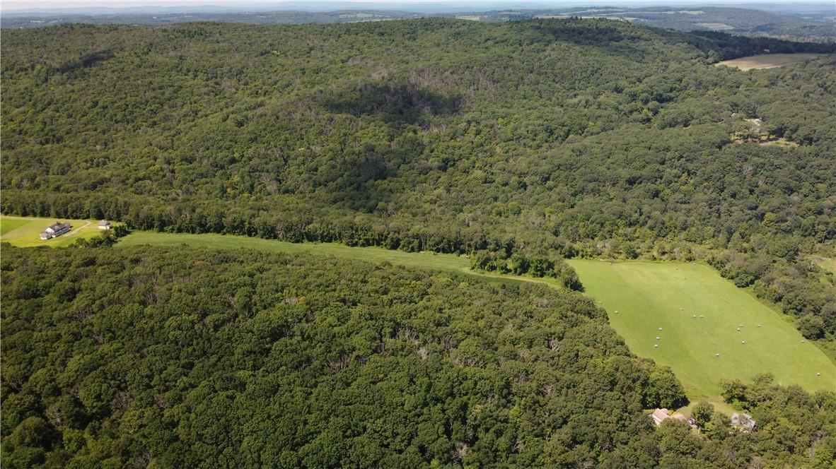 Cascade Mountain Road, Amenia, New York image 3