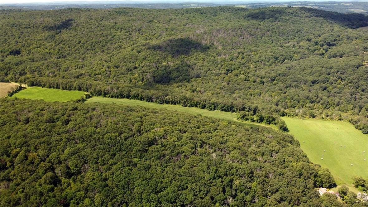 Cascade Mountain Road, Amenia, New York image 11