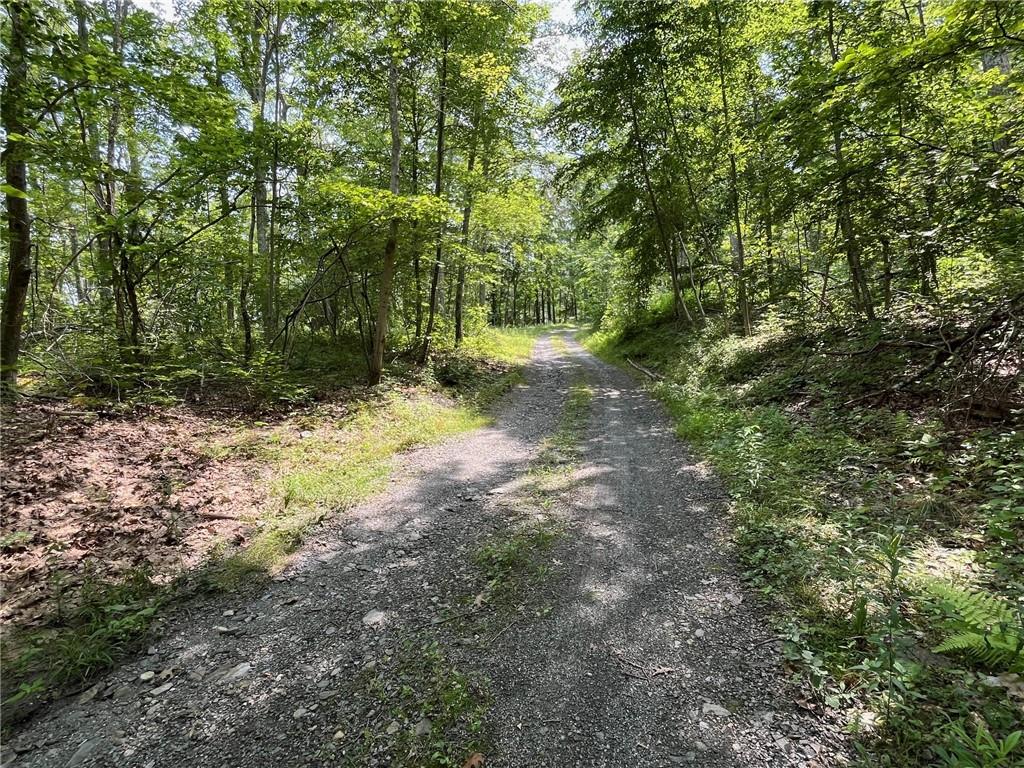 Cascade Mountain Road, Amenia, New York image 10