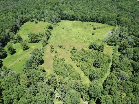 Vacant Land For Sale - TBD Ahrens Road<br/> Parksville, NY 12768