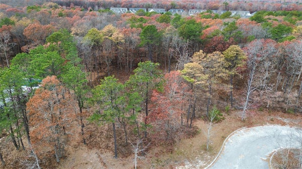 16 SOPHIA CT, WESTHAMPTON, NY 11977 - Image 55498cd6c8e627054c979233bc363f3a/3945690736