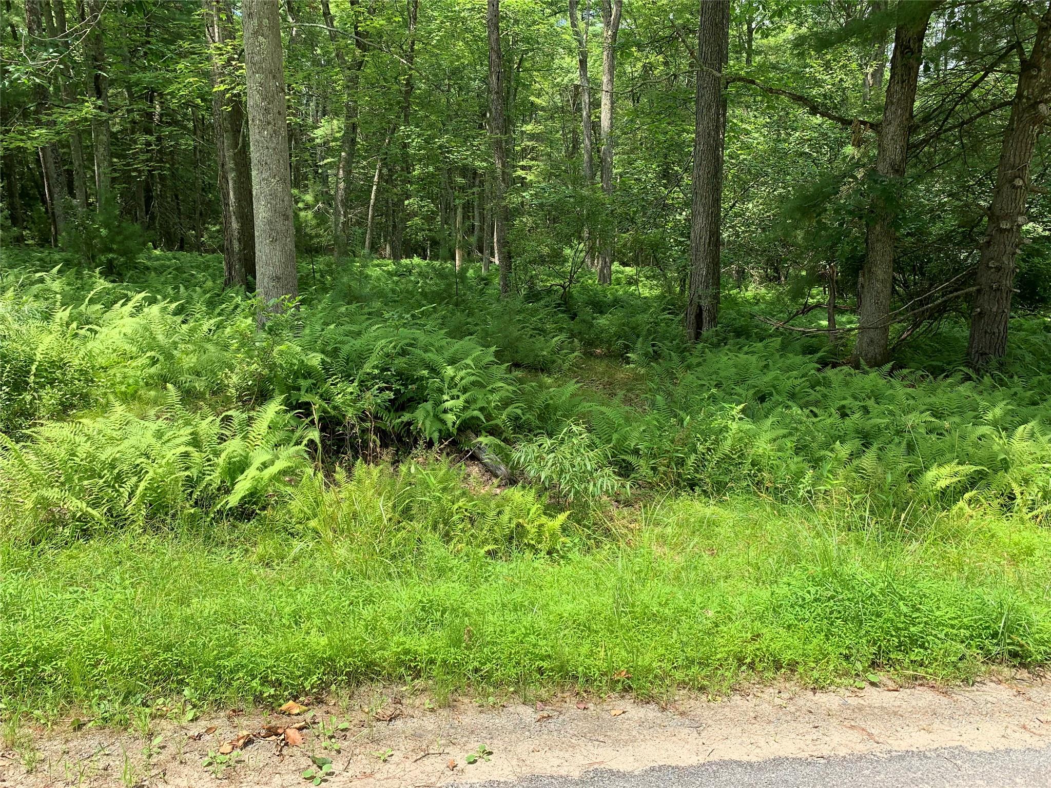 Lot 6 Francis Drive, Narrowsburg, New York image 4