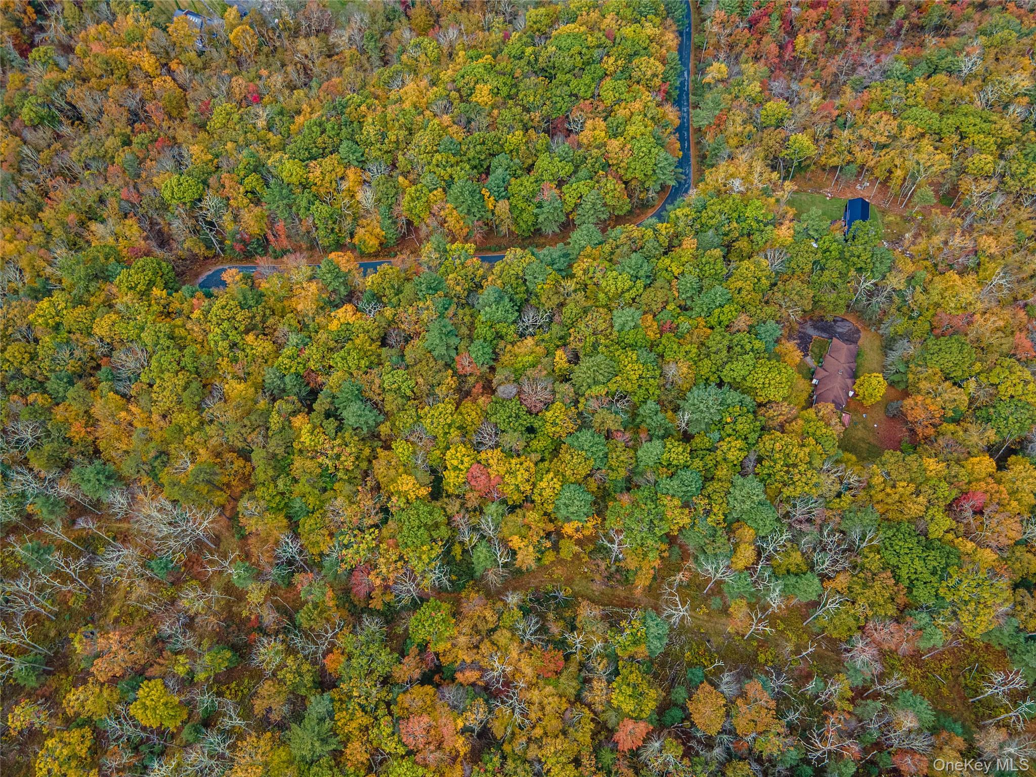 Taras Schevchenko (Lot 24) Road