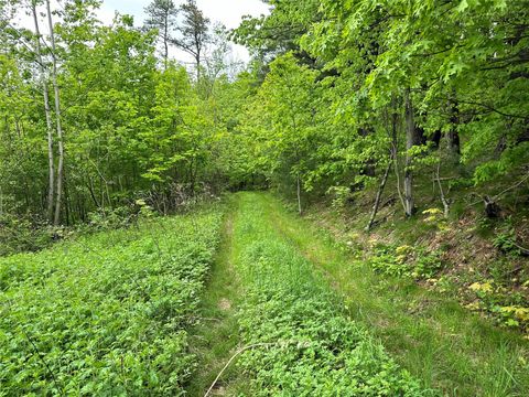 23 Gardner Drive Port Jervis NY 12771