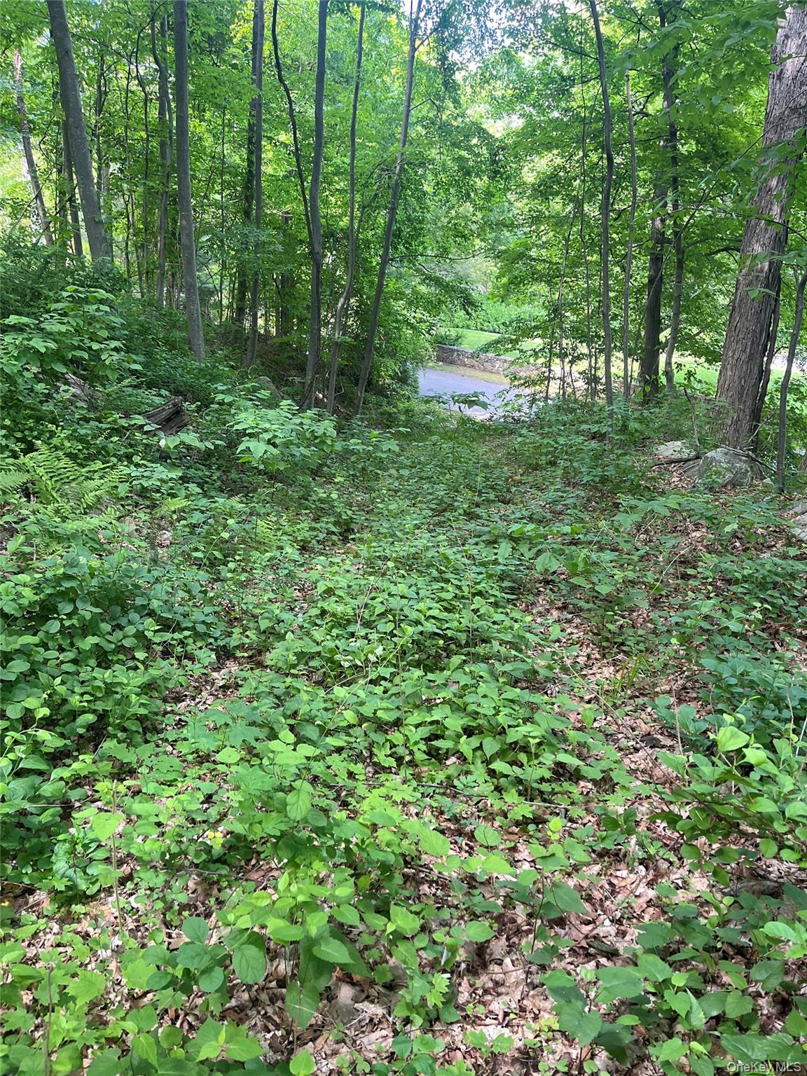 Old Church Road