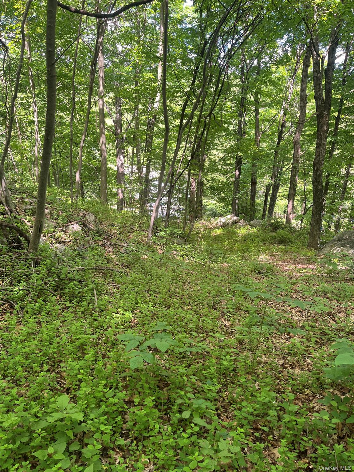 Old Church Road